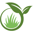 Worcester Lawn Clean Up