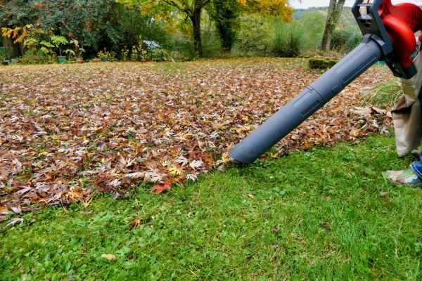 Leaf Vacuuming Service in Worcester