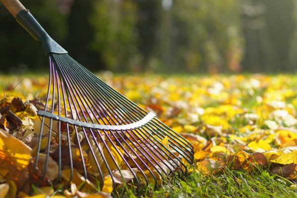 Leaf Raking Service in Worcester