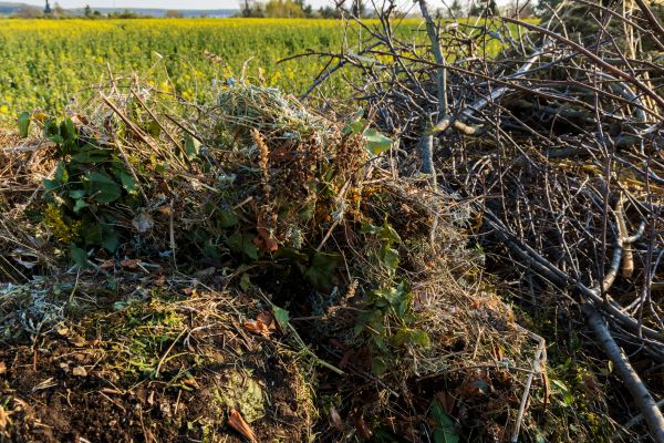 Brush Disposal in Worcester