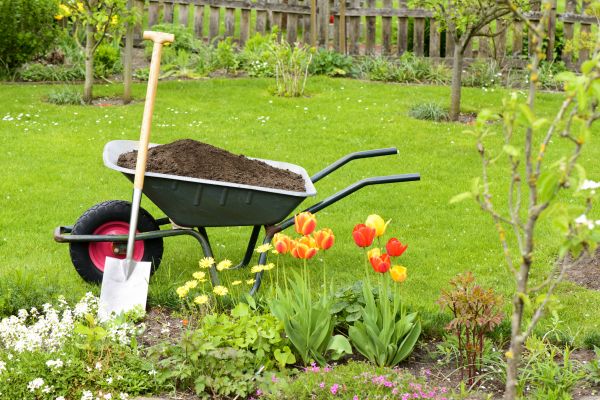 Spring Yard Cleanup in Worcester