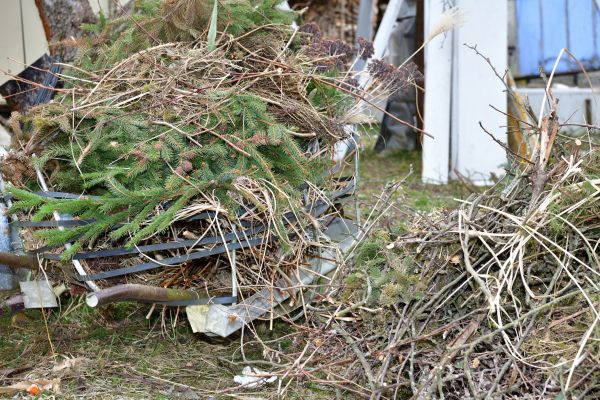 Cost of Yard Waste Removal Service in Worcester