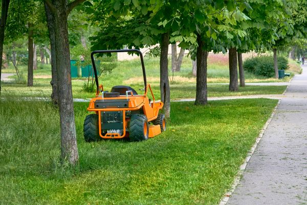 Landscaping Cleanup Service in Worcester