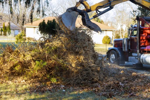Storm Debris Removal in Worcester