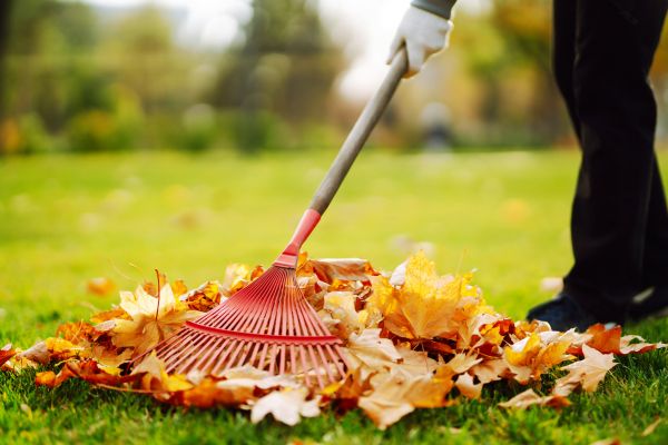 Ditch Leaf Removal in Worcester