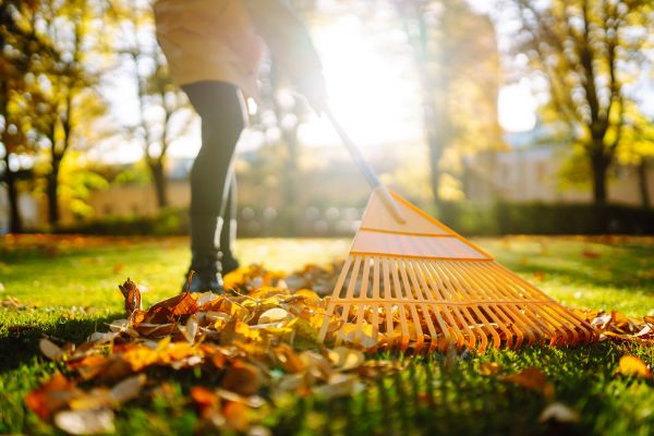 Leaves Raking in Worcester