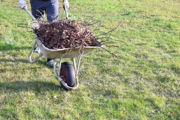 Cost of Yard Brush Removal in Worcester