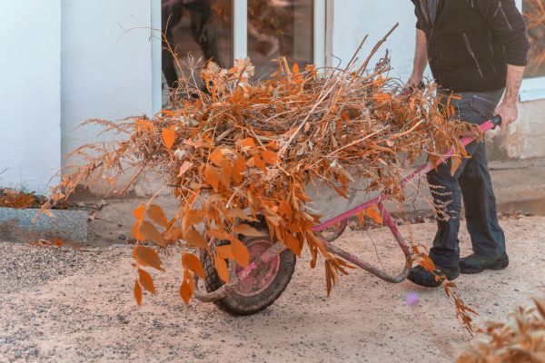 Cost of Lawn Debris Cleanup in Worcester