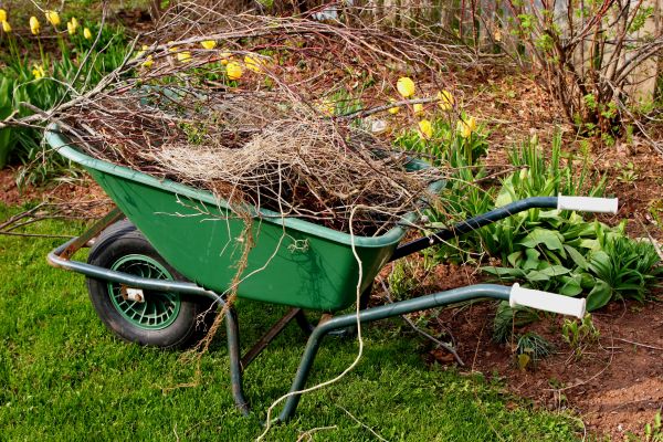 Lawn Waste Removal in Worcester