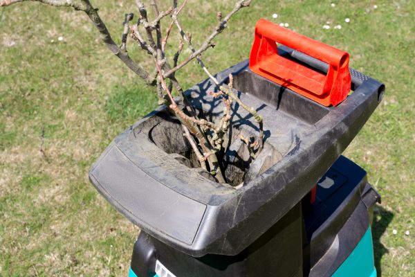 Cost of Brush Cleanup Service in Worcester