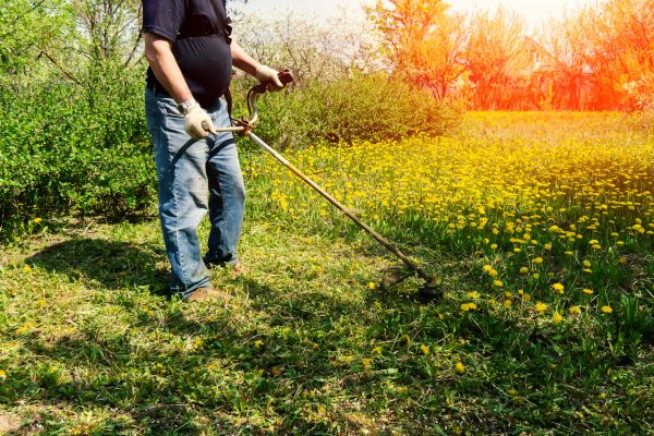 Yard Clearing Service in Worcester