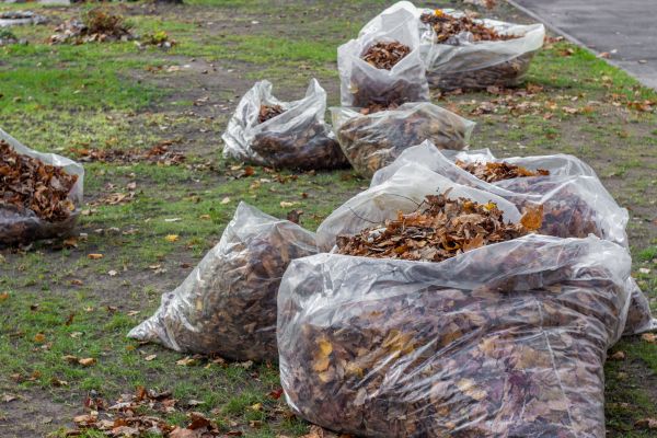 Leaf Pile Disposal in Worcester