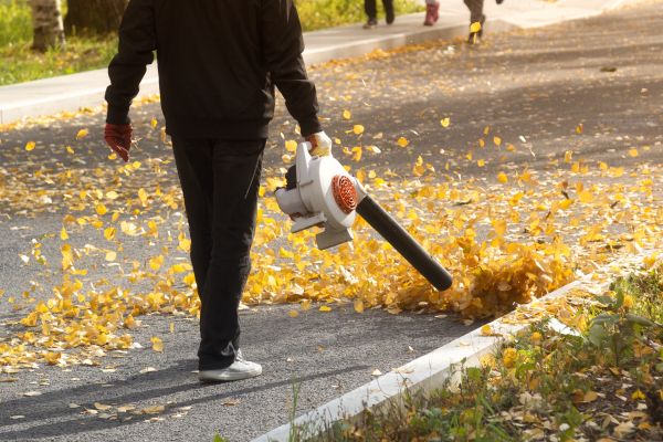 Commercial Leaf Removal in Worcester