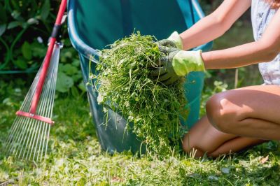 Lawn debris removal in spring