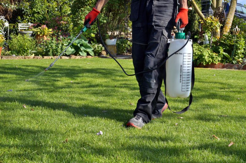 Spring lawn preparation