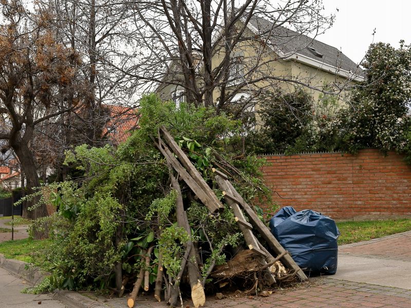 Post-storm yard debris
