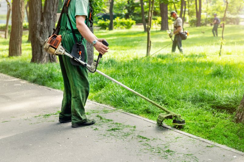 Experienced Lawn Care Experts