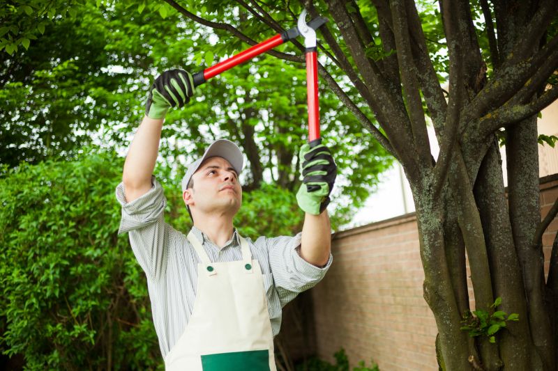 Garden and Tree Service Providers